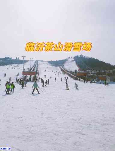 临沂茶山雪场价格查询，实时查询！临沂茶山雪场门票价格一览