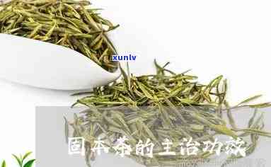 固本茶的有没有效果-固本茶的作用