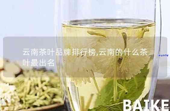 云县茶叶品种全揭秘：你不知道的小众名茶