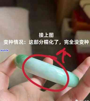 翡翠什么种水容易变种，揭秘翡翠哪种种水最容易变种？