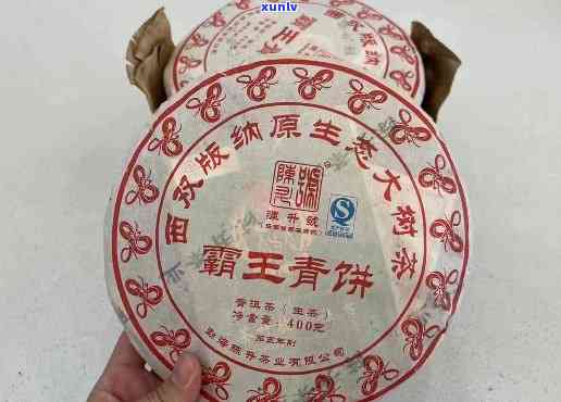 陈升号霸王青饼，品鉴陈升号霸王青饼：口感醇厚，回味无穷