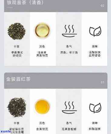 小罐茶八种茶是什么茶，探索小罐茶的奥秘：八种茶，究竟都是什么茶？