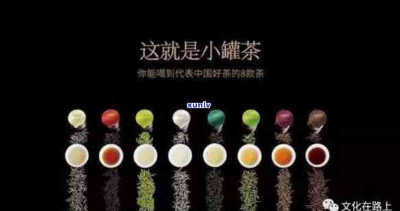 小罐茶东方美人是哪里的茶什么品种，探秘小罐茶东方美人：来自何方？属于哪种品种？