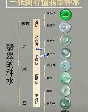 什么是翡翠的水头和种？全面解析翡翠的水头、种和种水