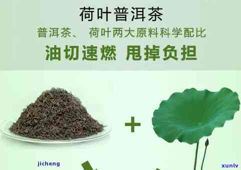 荷叶茶的价格是多少钱一盒？求解！