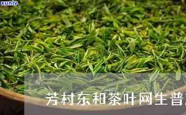 东和茶芳村价格行情-芳村东和茶叶网