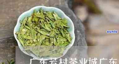 东和茶芳村价格行情-芳村东和茶叶网