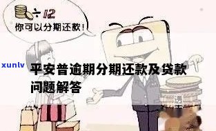 平安普：逾期代偿后能否分期还款？安全性如何？