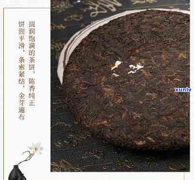 陈升号福茶普洱熟茶，品味陈升号福茶：探索普洱熟茶的独特魅力