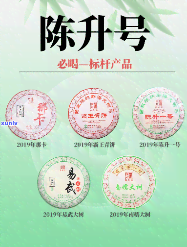 陈升号哪款茶值得拥有，陈升号：哪款茶叶值得收藏与品尝？