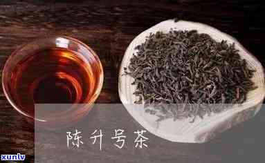 陈升号低端茶怎么样-陈升号的茶怎么样