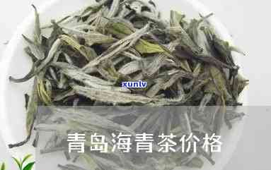 青岛海青茶价格多少-青岛海青茶价格多少钱一斤