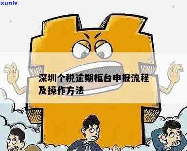 深圳个税逾期申报解决  及办理流程详解