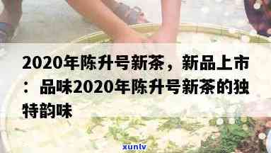 2020年陈升号新茶，品鉴2020年陈升号新品茶，感受独特韵味