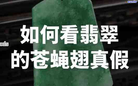 2022年信用卡逾期还款最新指南：持卡人必知的处理流程和通知方式