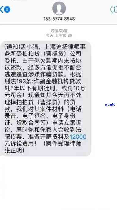 探究冰岛生普洱茶的价格因素：稀有性与品质的双重影响-冰岛普洱茶生茶的特点