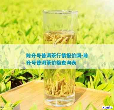 陈升号茶价格表2020，最新！陈升号茶2020年价格表全解析