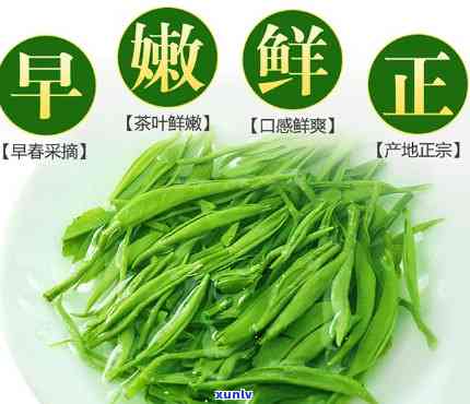 道真硒锶玉翠茶：价格与价值全解析