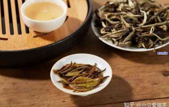 从原料到成品：普洱茶化石 *** 工艺的全面解析与探究