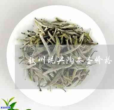 州坭兴茶壶价格-州坭兴茶壶价格表