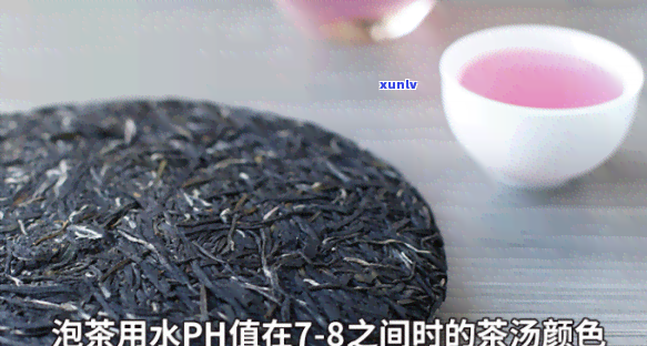 紫娟生茶是普洱还是绿茶，揭秘茶叶品种：紫娟生茶是普洱还是绿茶？