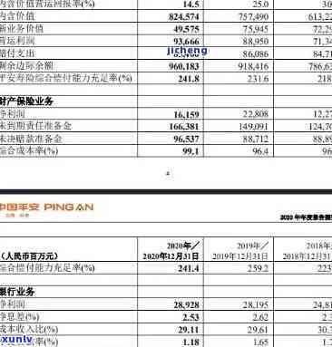 平安银行逾期信息查询  全攻略