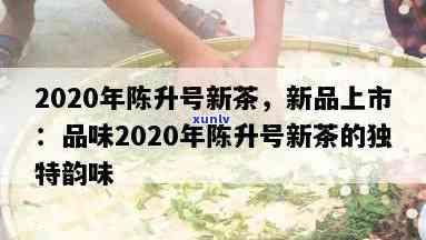 2020年陈升号新茶，新品上市：2020年陈升号新茶，品味茶叶的独特魅力！