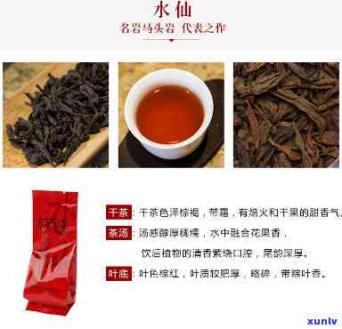 孝文家茶价格铁罗汉-孝文家茶价格怎么看