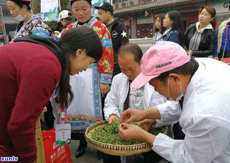 贵州安顺朵茶专卖店，朵茶专卖店落户贵州安顺，品味地道茶叶的美妙滋味！