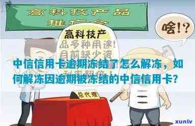 中信卡逾期被冻结怎样解冻？详细步骤在此