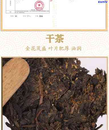 泾阳牛金花茯茶价格查询表