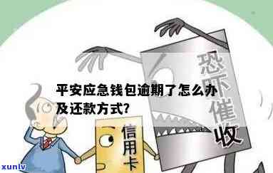 平安应急钱包逾期-平安应急钱包逾期怎么办