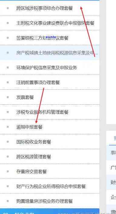 公司综合所得税申报逾期了怎么办，公司综合所得税申报逾期：怎样解决？