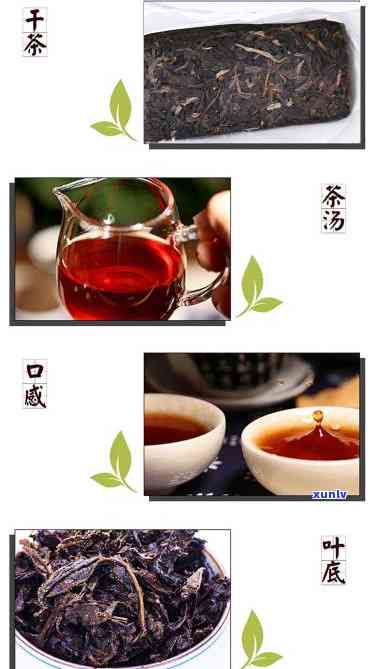 陕西官茶黑毛茶价格-陕西官茶黑毛茶价格表