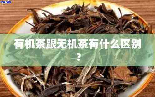 有机茶和无机茶价格-有机茶和无机茶价格差多少