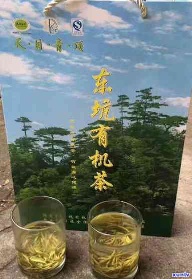 有机茶和无机茶价格-有机茶和无机茶价格差多少