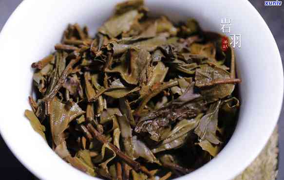 澜沧古茶荒野沱茶2016年生茶250克，【限时秒杀】澜沧古茶 荒野沱茶 2016年 生茶 250克 纯料 易武古树普洱茶熟茶 散装