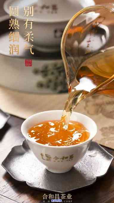 合和顶级茶：茶叶品质与口感全方位解析