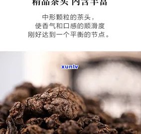 合和老茶头怎么样-合和茶叶