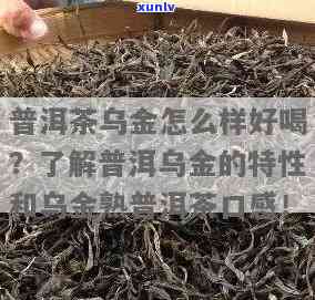 全面解析：澜沧古茶乌金口感究竟如何？