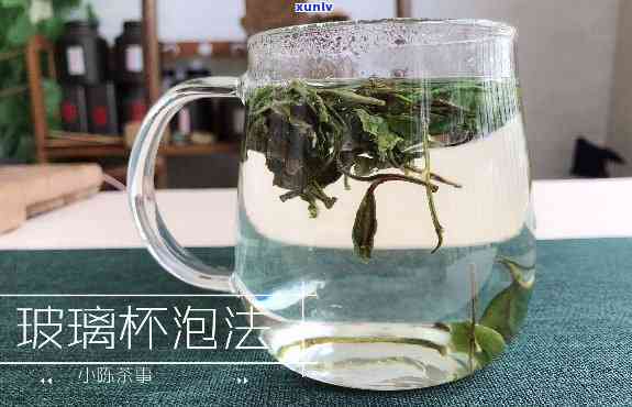 如何使用泡茶的玻璃杯？完整教程与视频分享