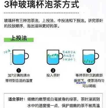 如何使用泡茶的玻璃杯？完整教程与视频分享