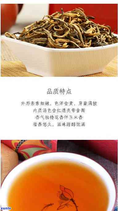 中茶金毫圆茶怎么样，深度解析：中茶金毫圆茶的口感与品质如何？