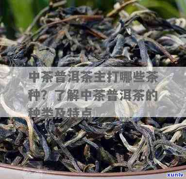 中茶6136，深度解析：中茶6136的茶叶品种和品质特点