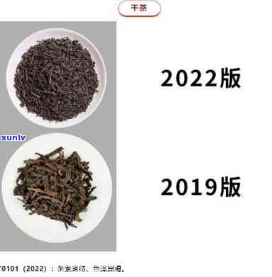 中茶6311，新品推荐：尝试中茶6311，品味独特的茶叶香气