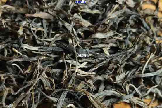 南糯山古树红茶特点-南糯山古树红茶特点介绍