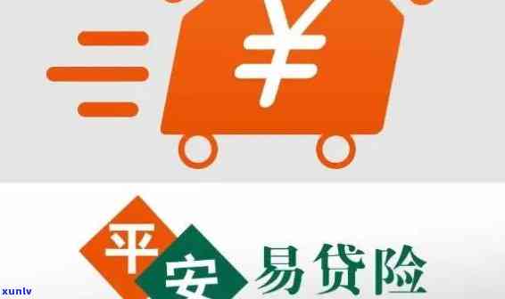 平安易贷逾期一年怎样解决？详细步骤解析