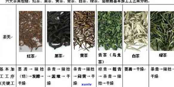 各种茶的口感和外观-各种茶的口感和外观特点