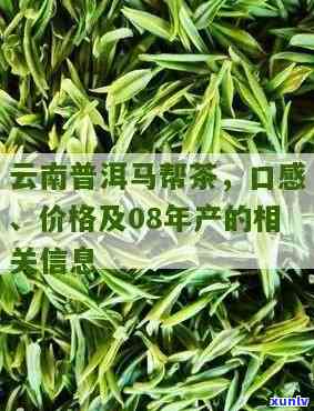 云南大马帮普洱茶价格，云南大马帮普洱茶价格表，让您轻松了解市场价格！