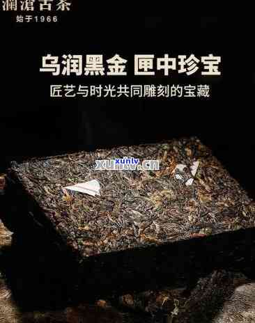 澜沧乌金熟茶，品味澜沧乌金熟茶：探寻云南普洱的魅力